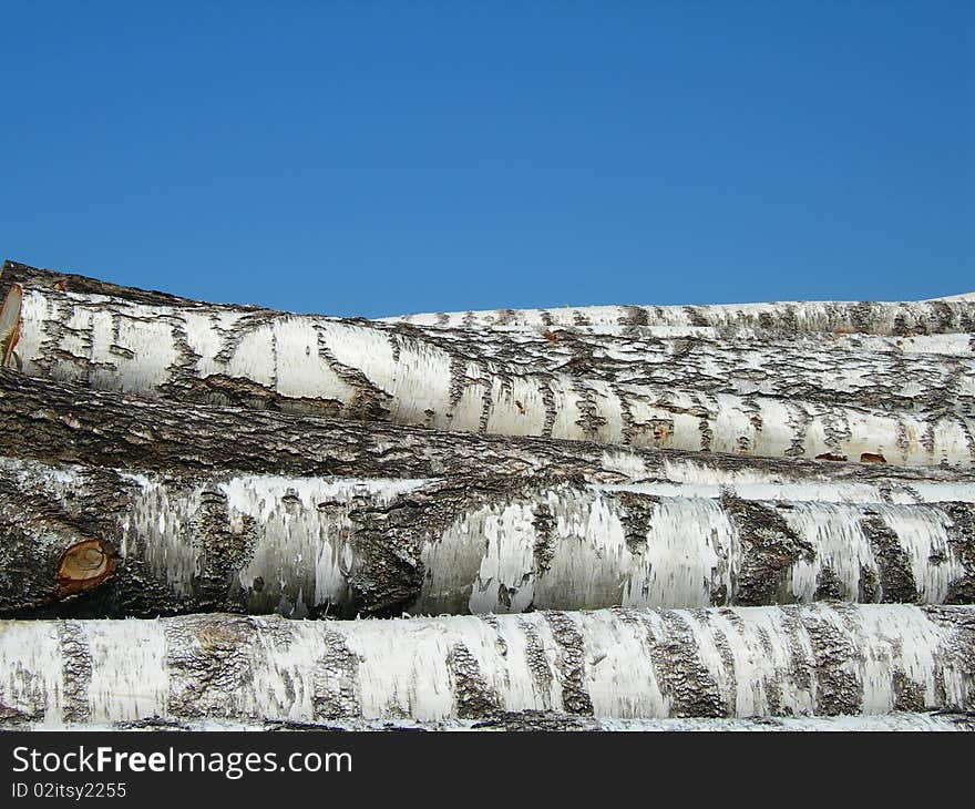 Birch logs on a background of the sky.