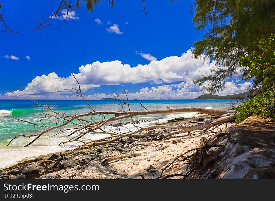 Tropical beach at Seychelles - nature background