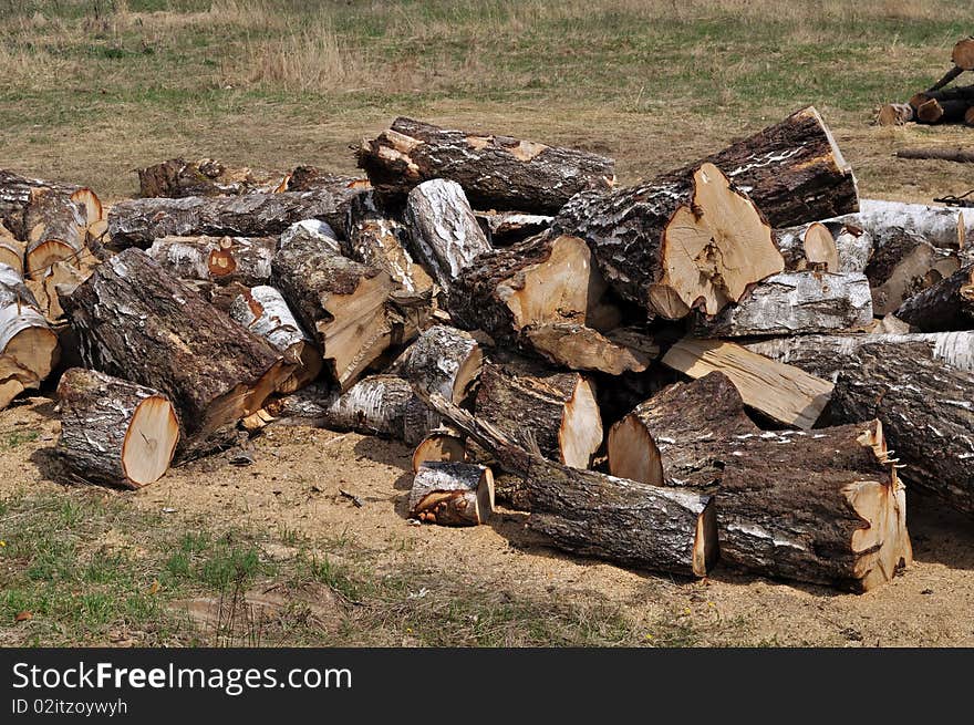 Pile of large birch chocks on the ground