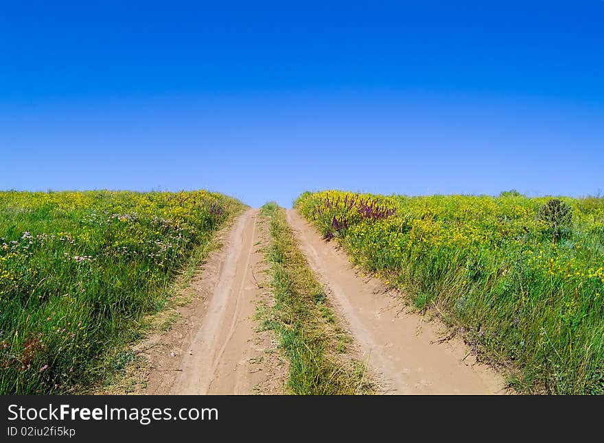 Rural road in the lush field. Rural road in the lush field