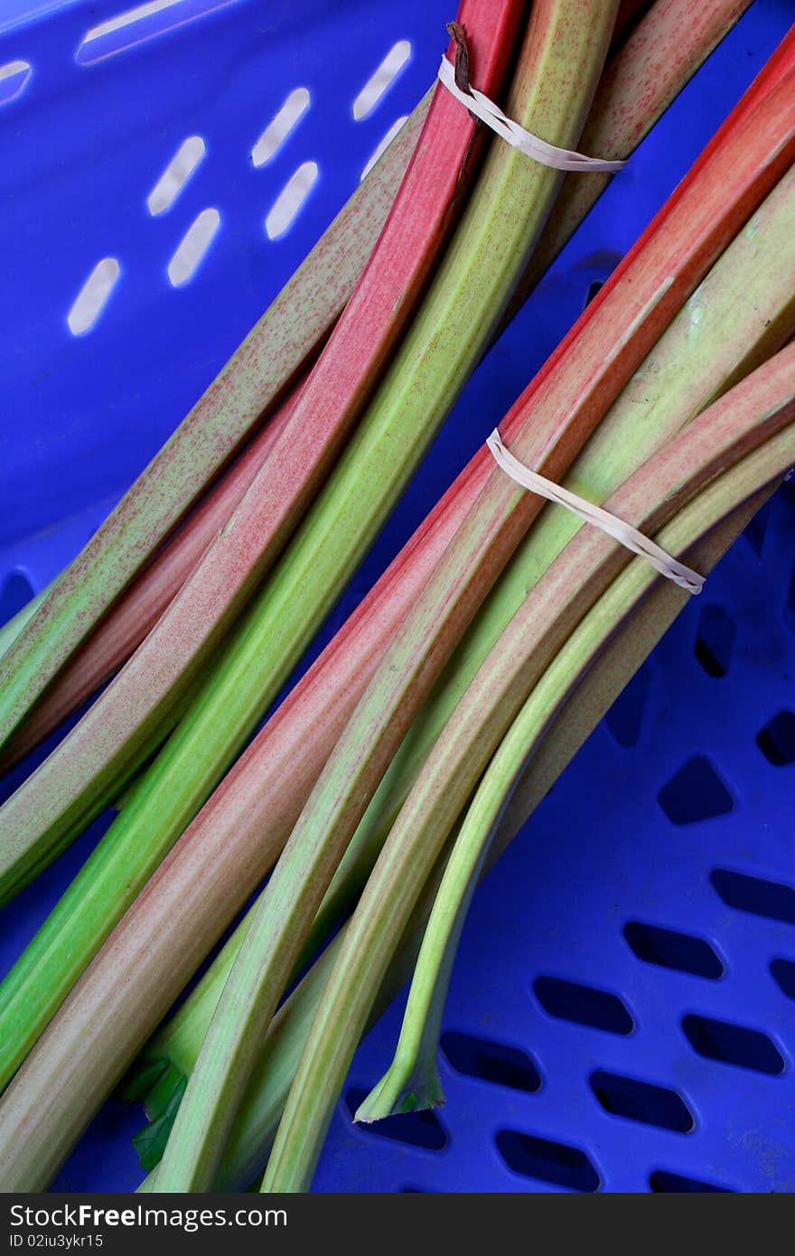 Rhubarb in a basket at farmers market