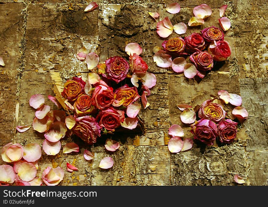 A artistic arrangement of dried pink and red roses on a natural bark background. A artistic arrangement of dried pink and red roses on a natural bark background.