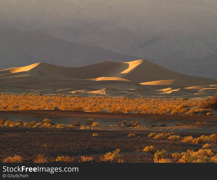 The sand dunes near Stovepipe Wells at Death Valley National Park, California. The sand dunes near Stovepipe Wells at Death Valley National Park, California