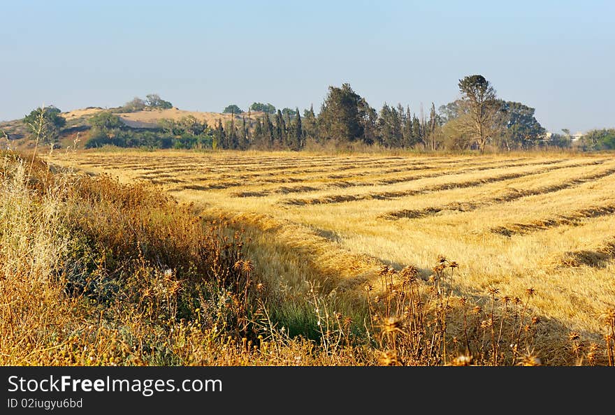 Harvesting