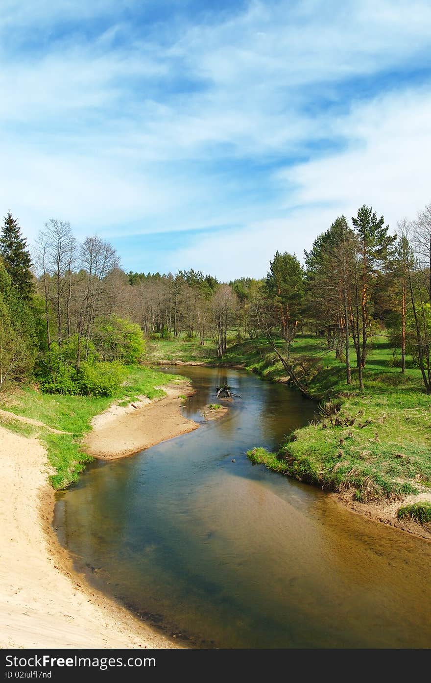 River in the forest