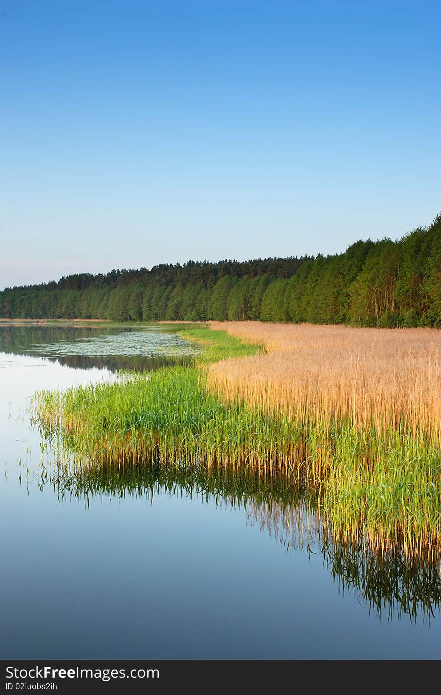 Coast Of Lake