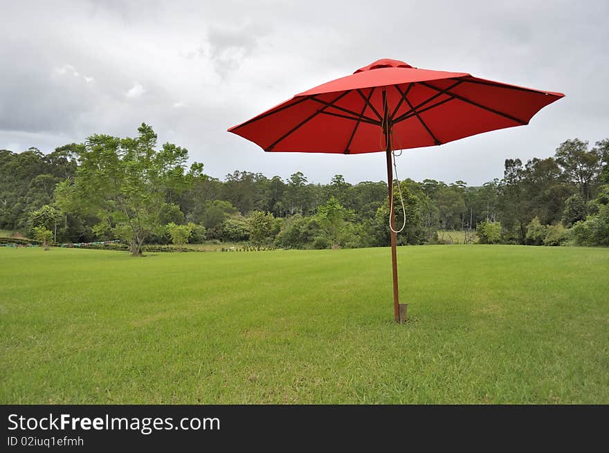 Red umbrella, green grass