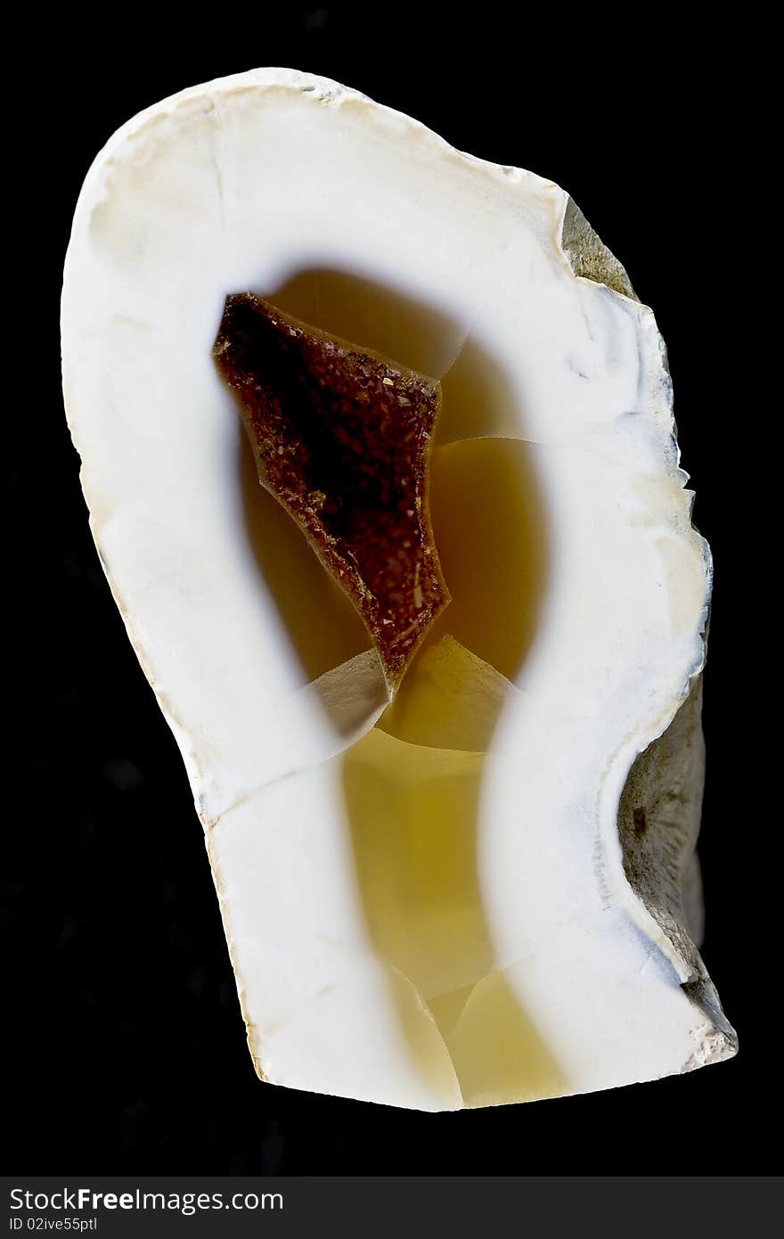 Chalcedony geode specimen on black background