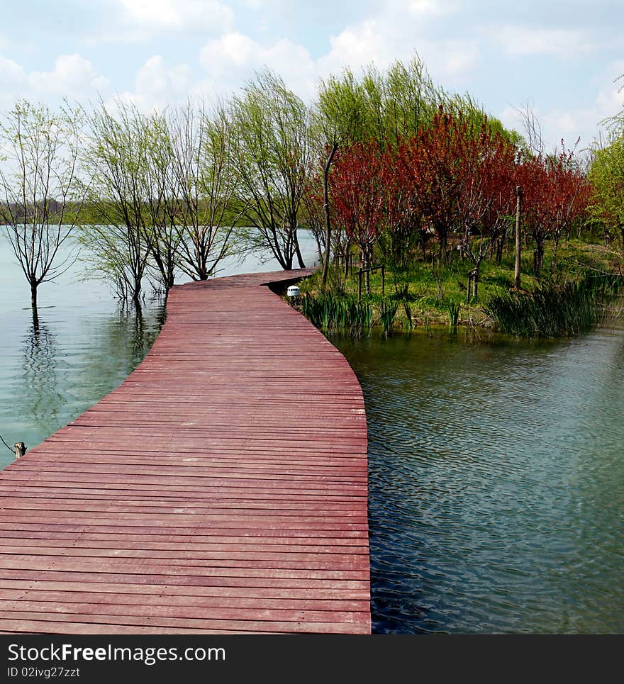 A road formed by wood