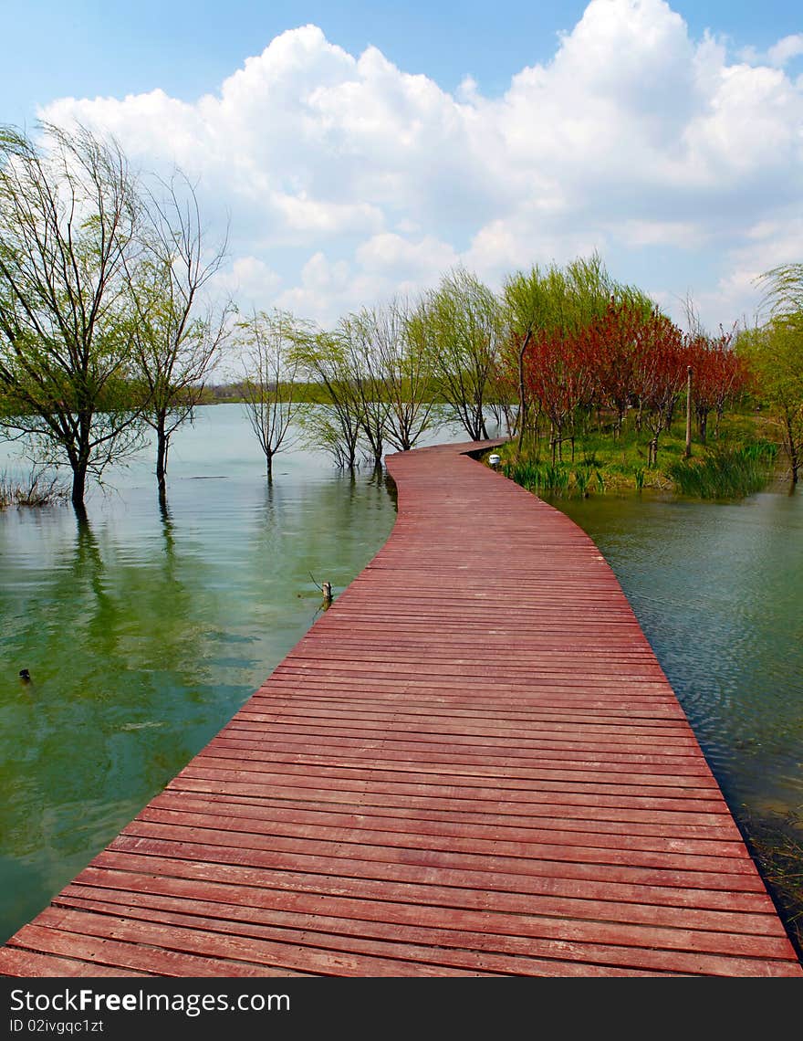 A road formed by wood