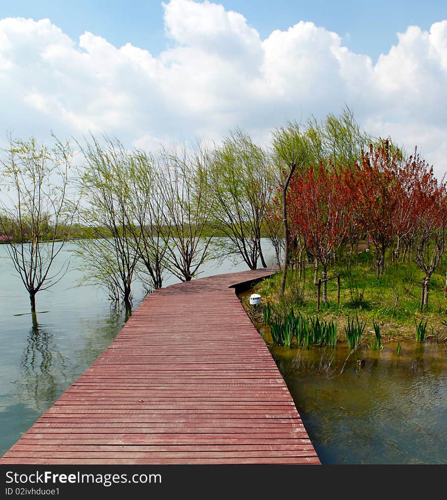 A road formed by wood