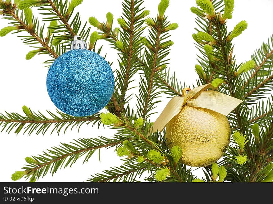 Gold and blue New Year's spheres balls  on a light green fur-tree branch. Isolated on white. Gold and blue New Year's spheres balls  on a light green fur-tree branch. Isolated on white.