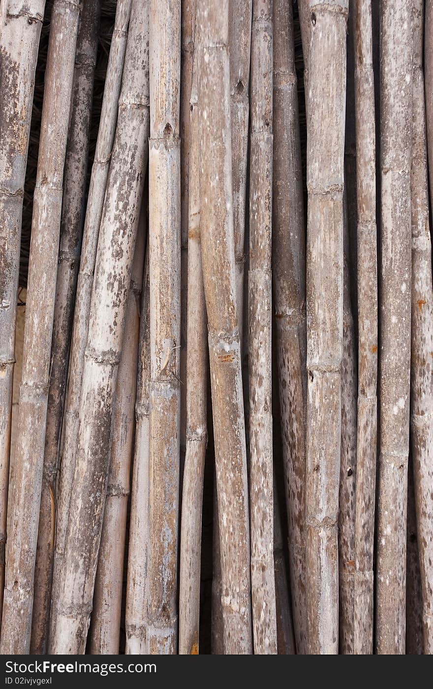 Old dry thick bamboo background. Old dry thick bamboo background