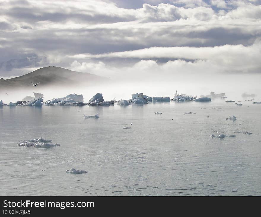 A lake in Iceland with terns