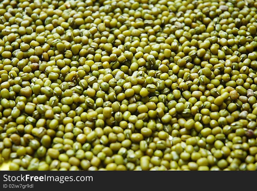 Isolated macro of green bean