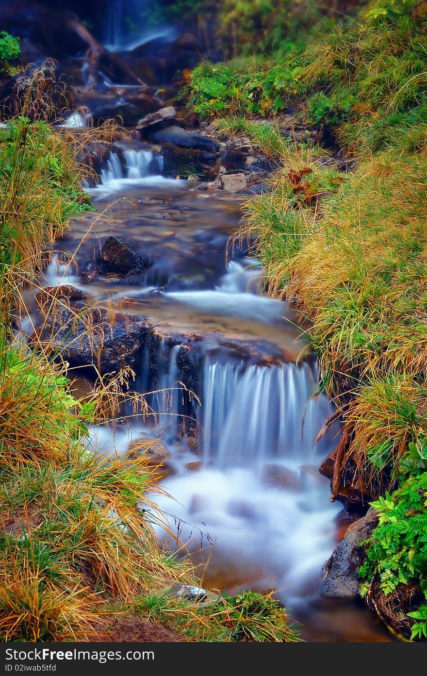 The cascade of the mountain river and yellow flowers