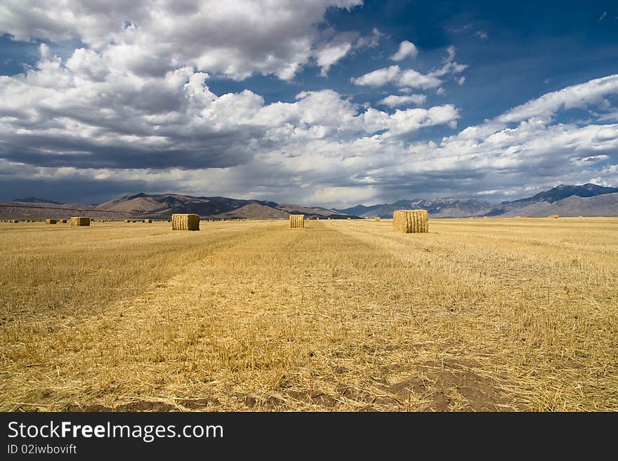 Landscape view af a wheat field after the harvest in Idaha