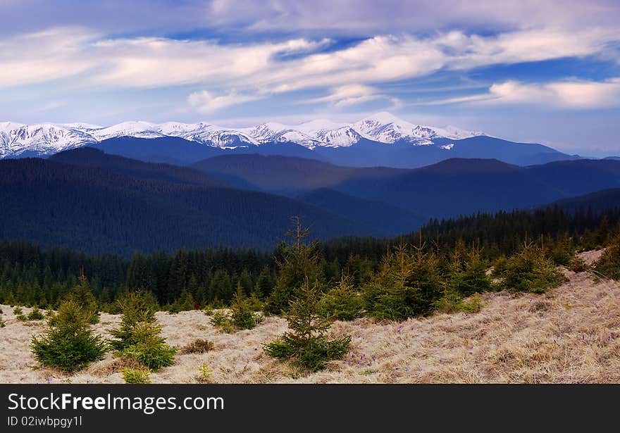 Dawn In Mountains