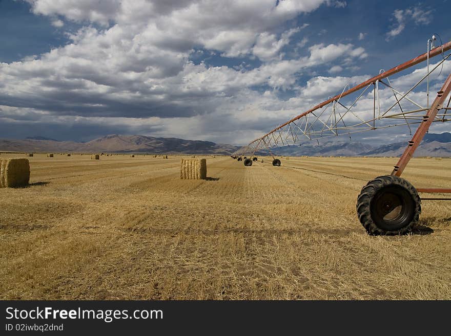 Landscape view af a wheat field after the harvest in Idaho