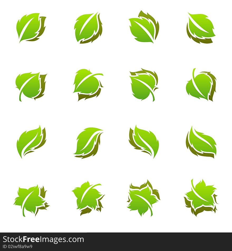 Green leaves. Elements for design.