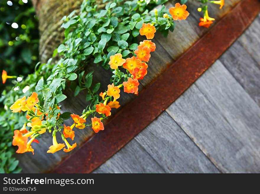 Littlle yellow hanging flowers background