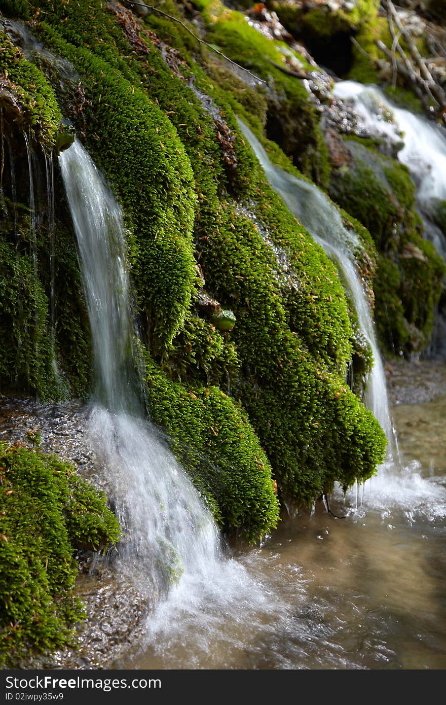 Spring in a mountains