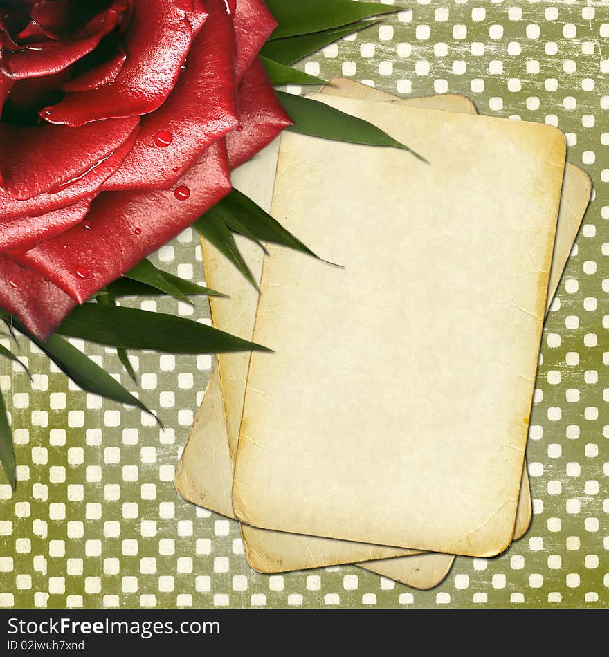 Grunge papers with red rose for design