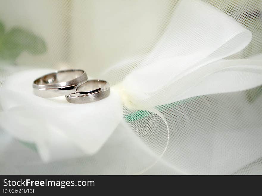 Wedding Rings and white veil