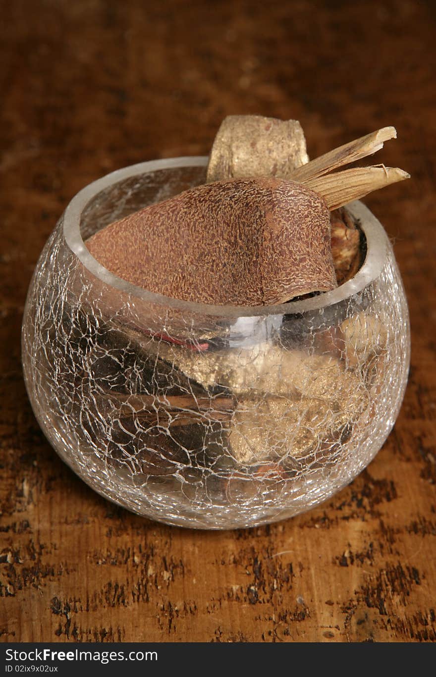 Potpourri in glass bowl studio portrait