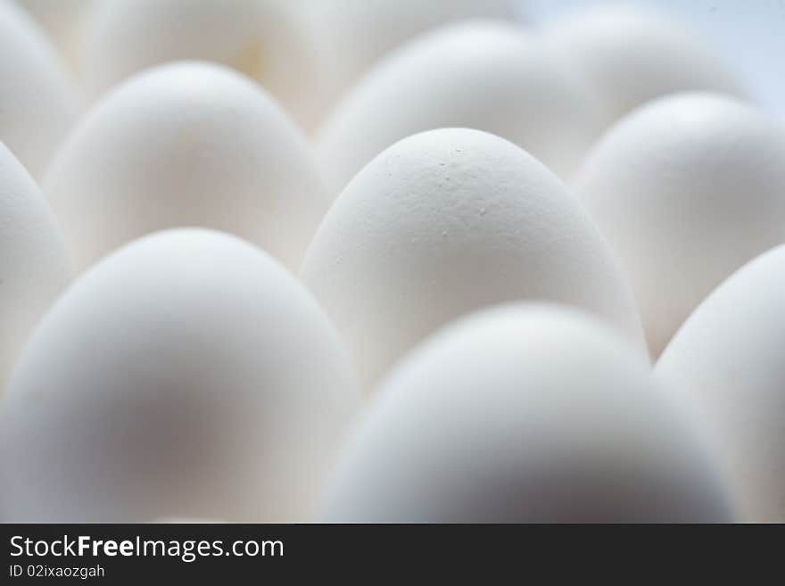 Much white eggs