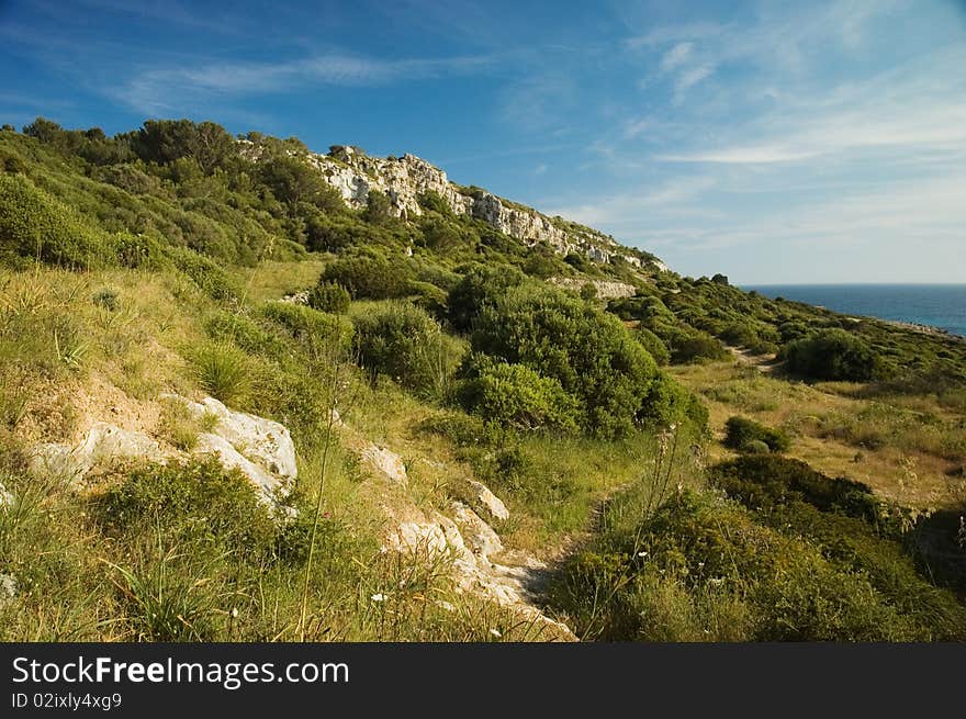 Taken at Son Bou, Menorca.
Polarising filter uded to enhance the sky. Taken at Son Bou, Menorca.
Polarising filter uded to enhance the sky.