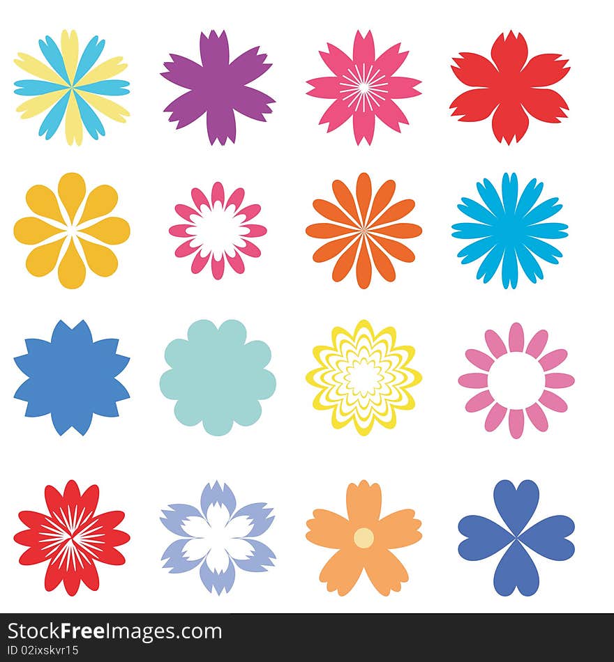 Set with flowers on white background