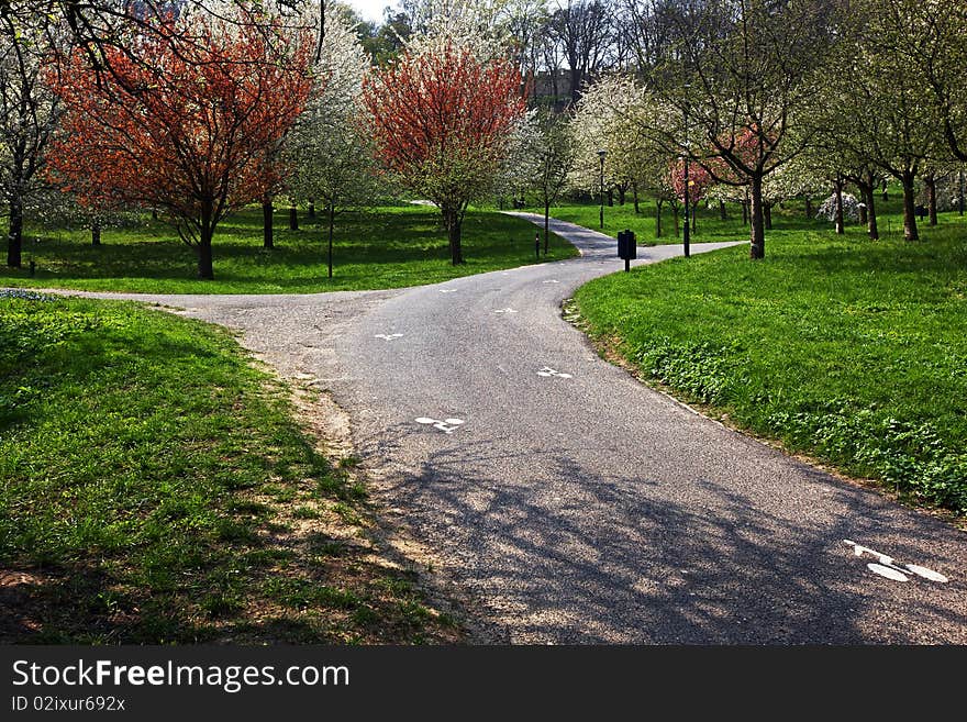 Turning Road