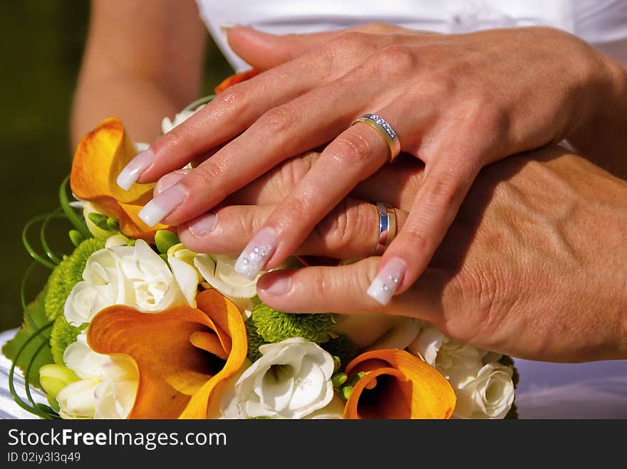 Groom and bride hands with wedding rings