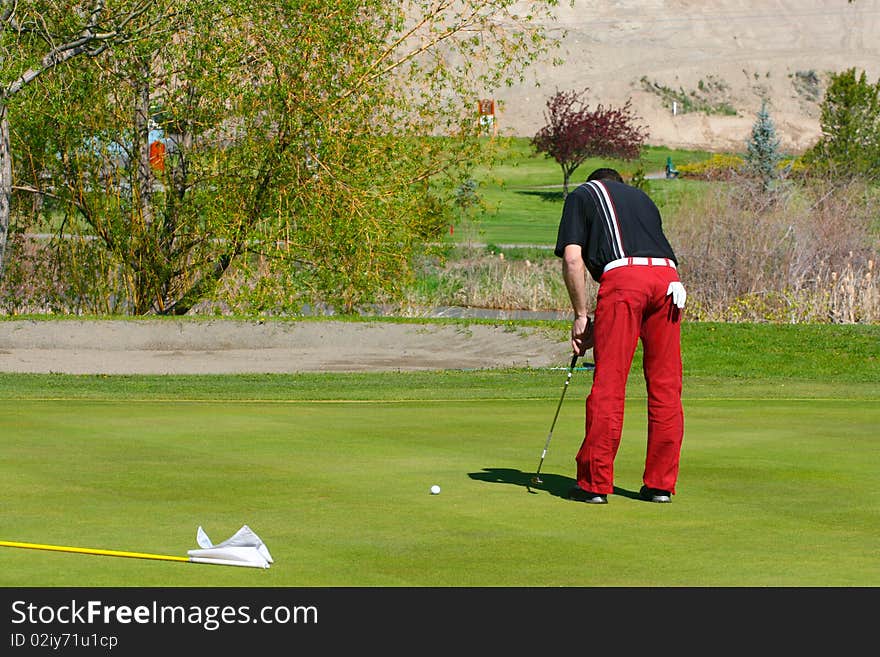 Young golfer busy putting on the green