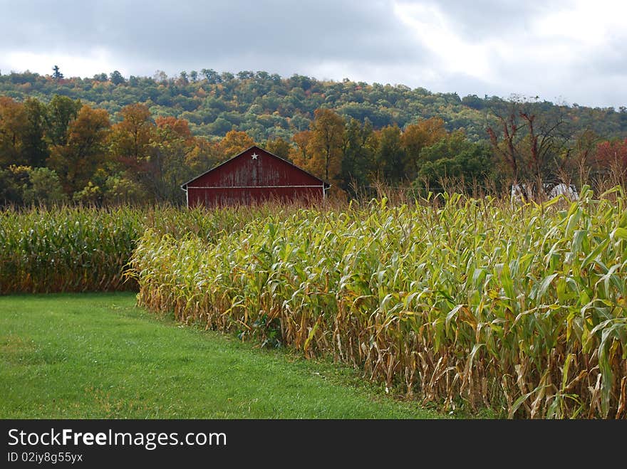 Farm and mountain in autumn. Farm and mountain in autumn