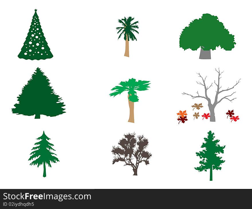 Types of Trees Illustration