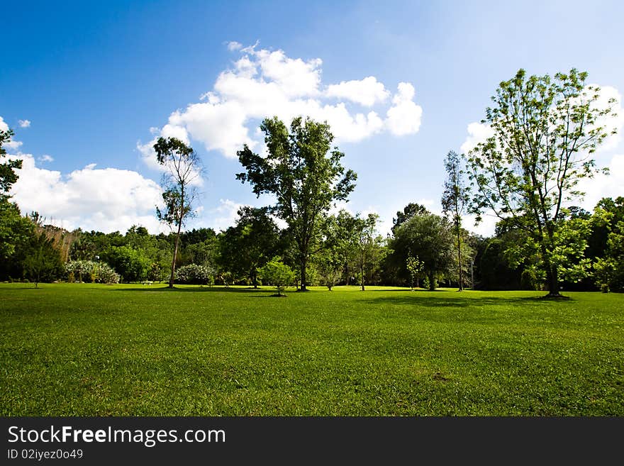 Scenic view of the otanical garden in Gainesville on a clear afternoon. Scenic view of the otanical garden in Gainesville on a clear afternoon