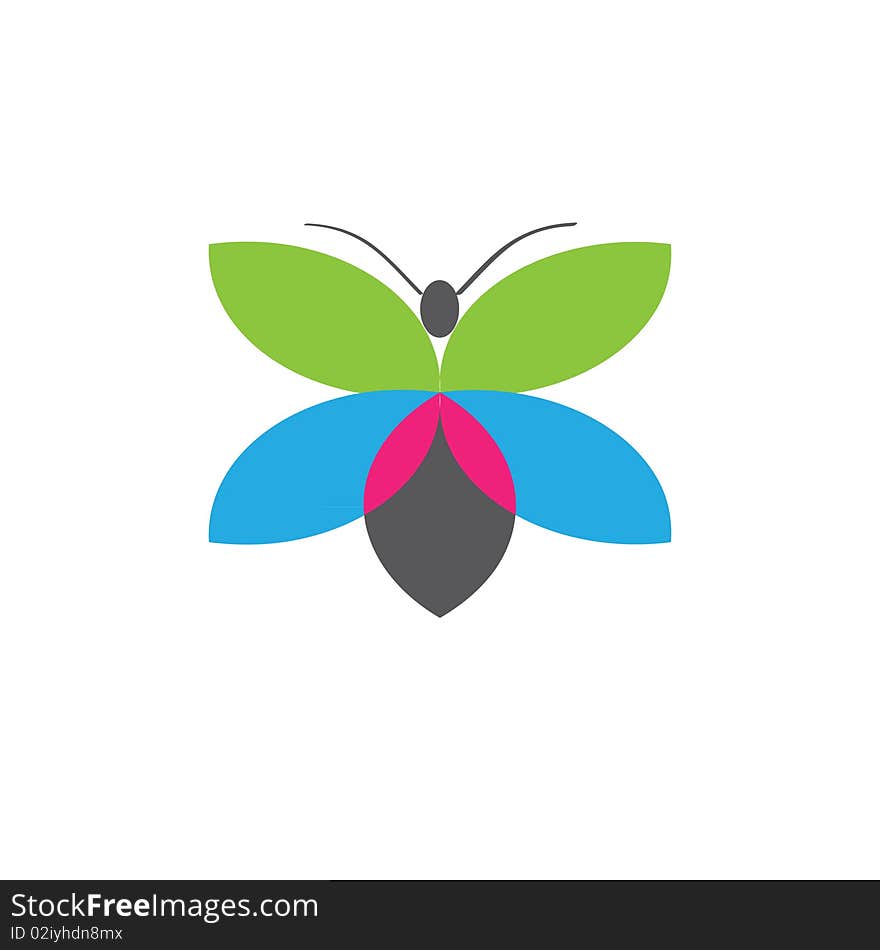 Cool butterfly