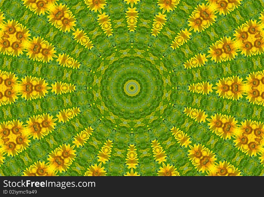 Beautiful yellow sunflower on a green background