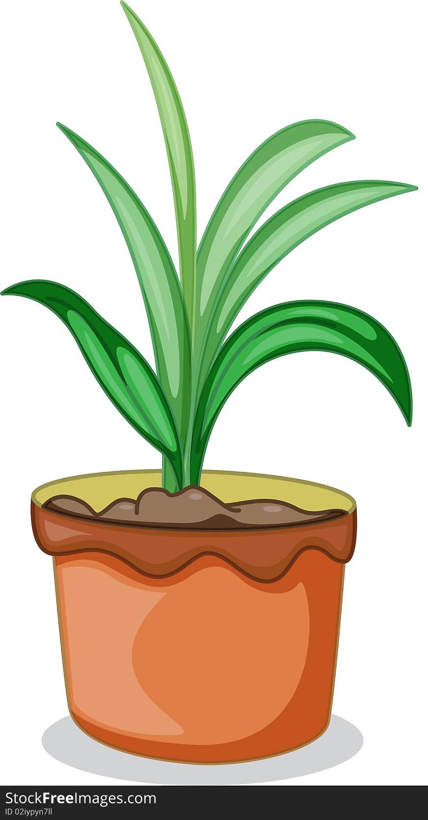 A Pot and plant