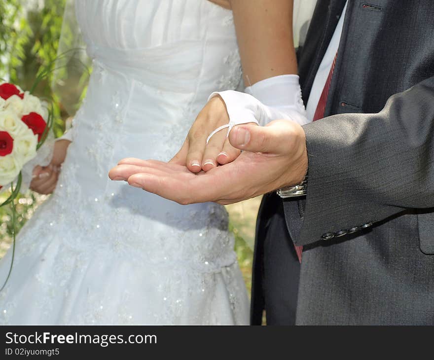 Newly married - hands with gold rings