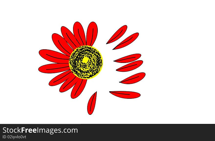 The red bloom on the white background. The red bloom on the white background