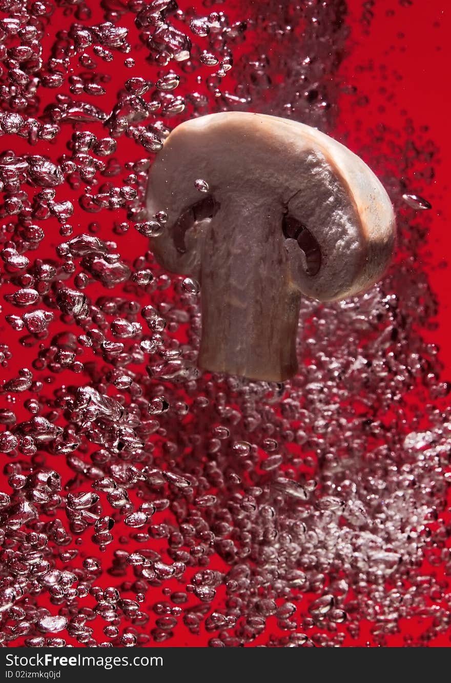 Field mushroom falling in water on red with air bubbles. Field mushroom falling in water on red with air bubbles