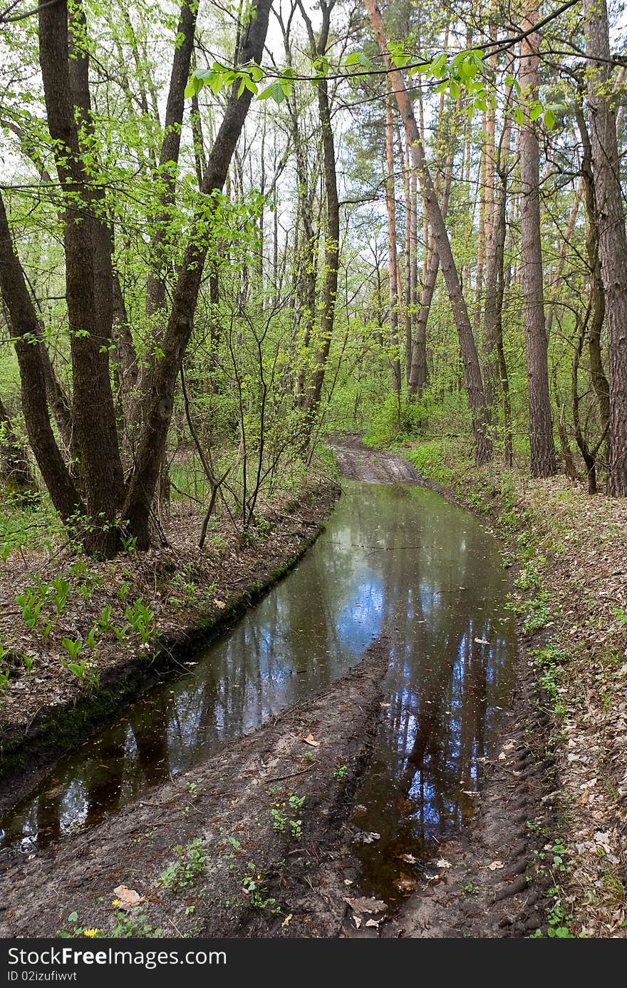 Forest Road