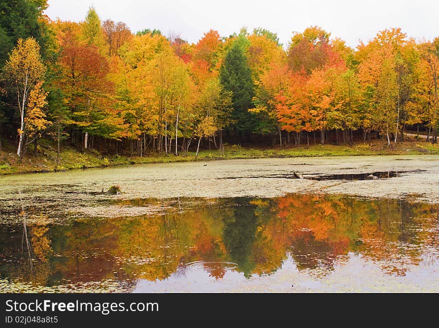 Lake with autumn colors - (Canada Quebec)