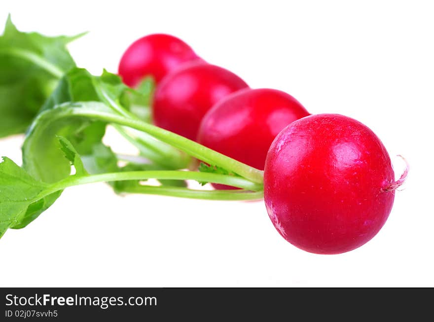 Fresh red radish isolated on white background