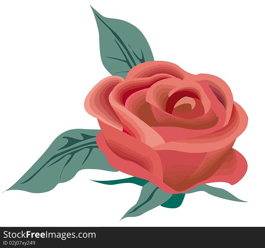 Vector red rose nature design