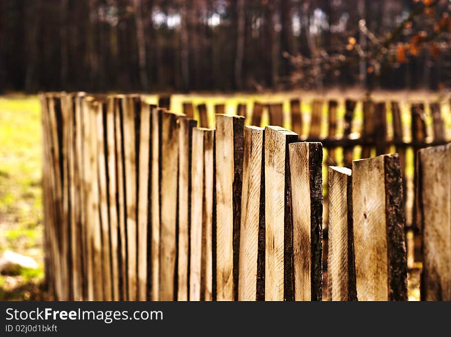 Old wooden boundary fence with nails on sunny day