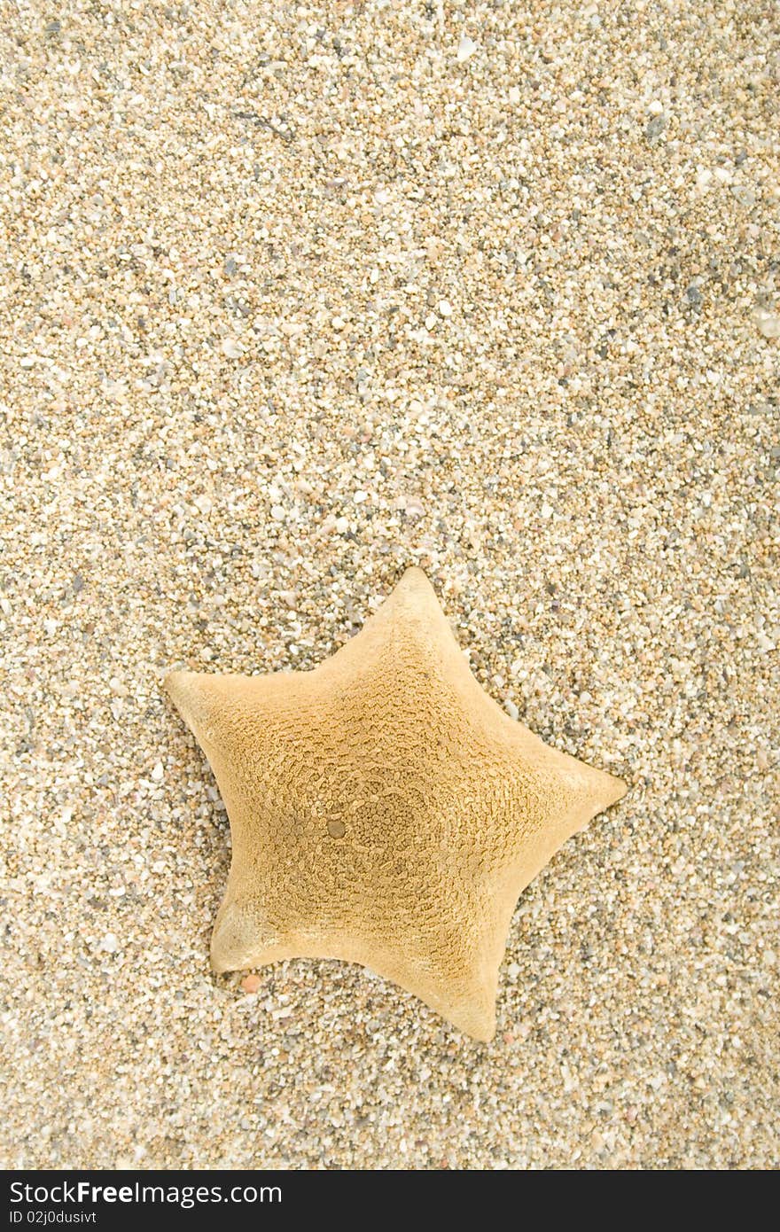 Starfish on the sand. Background. Starfish on the sand. Background